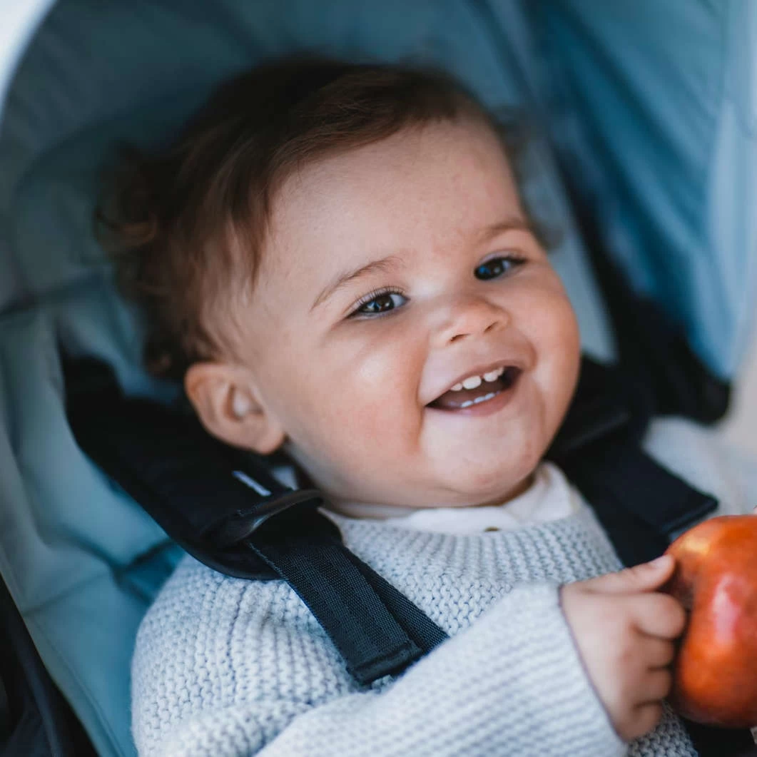 Thule Stroller Seat Liner - Image 6